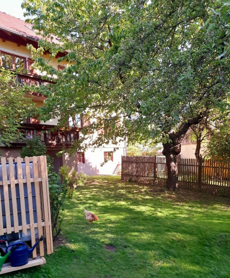 Apartments Himmelreich Ternitz Εξωτερικό φωτογραφία
