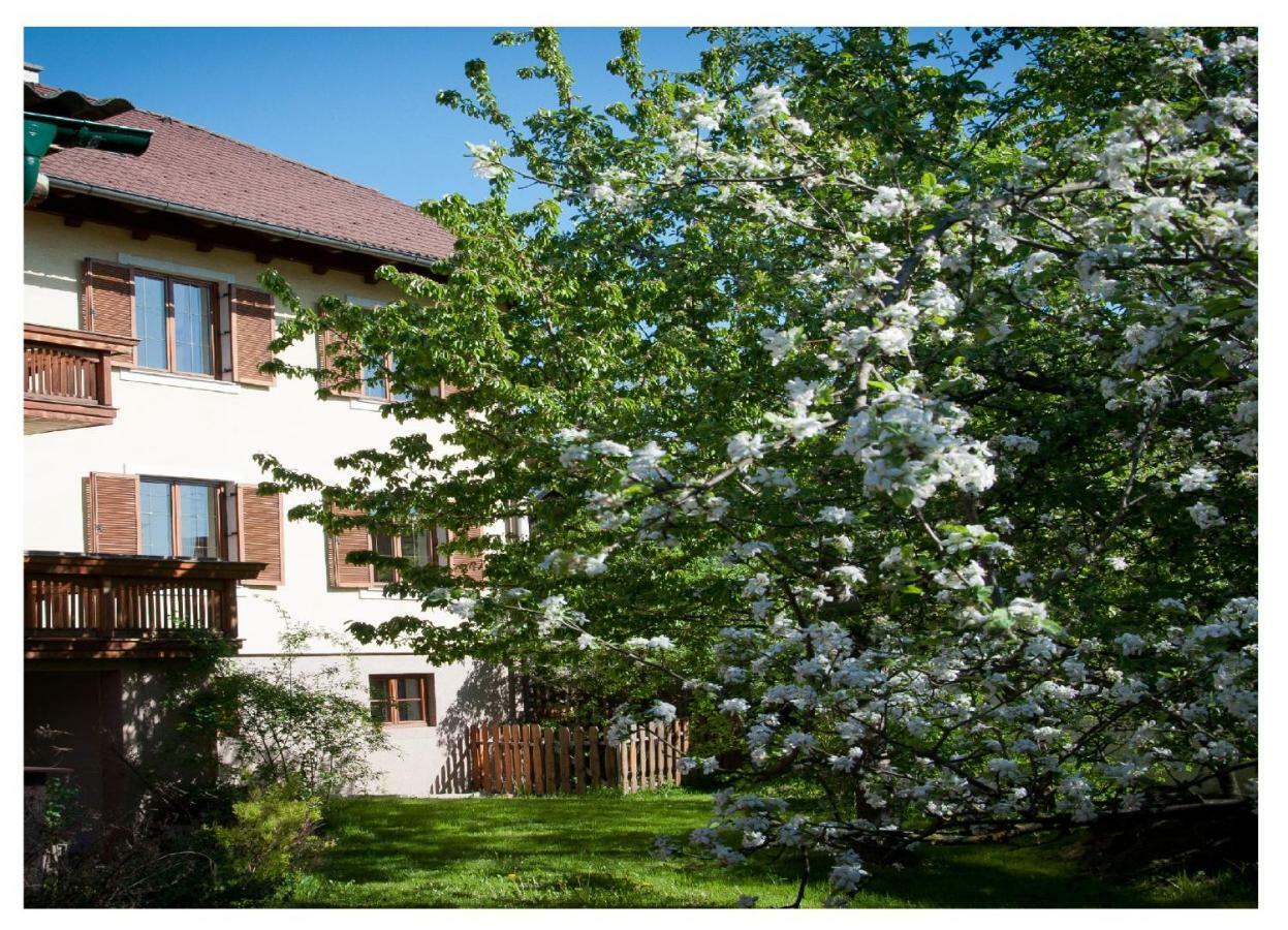 Apartments Himmelreich Ternitz Εξωτερικό φωτογραφία