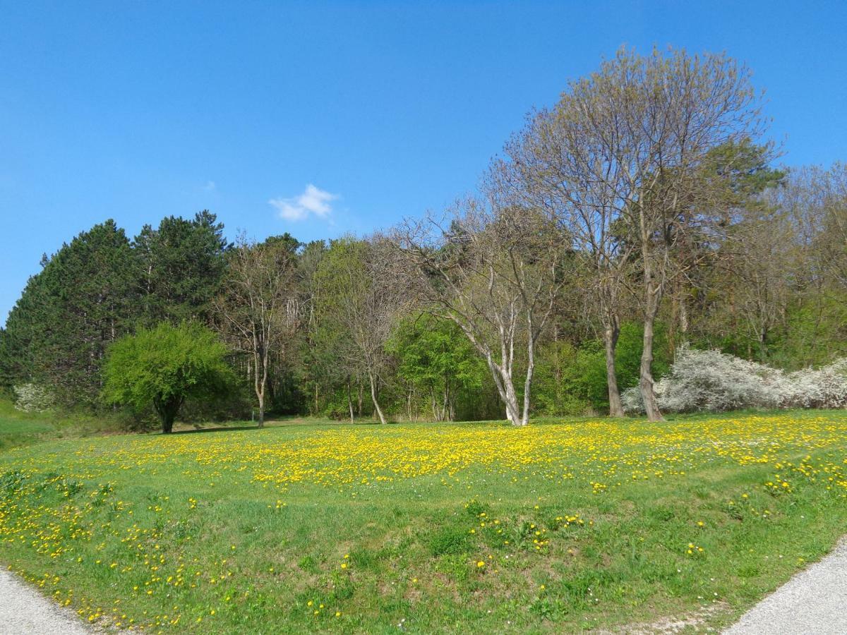 Apartments Himmelreich Ternitz Εξωτερικό φωτογραφία