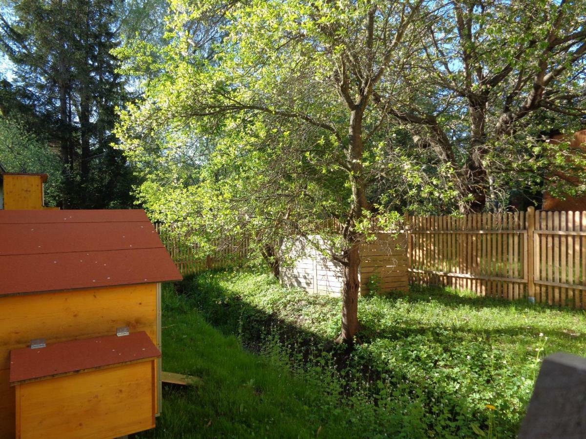 Apartments Himmelreich Ternitz Εξωτερικό φωτογραφία