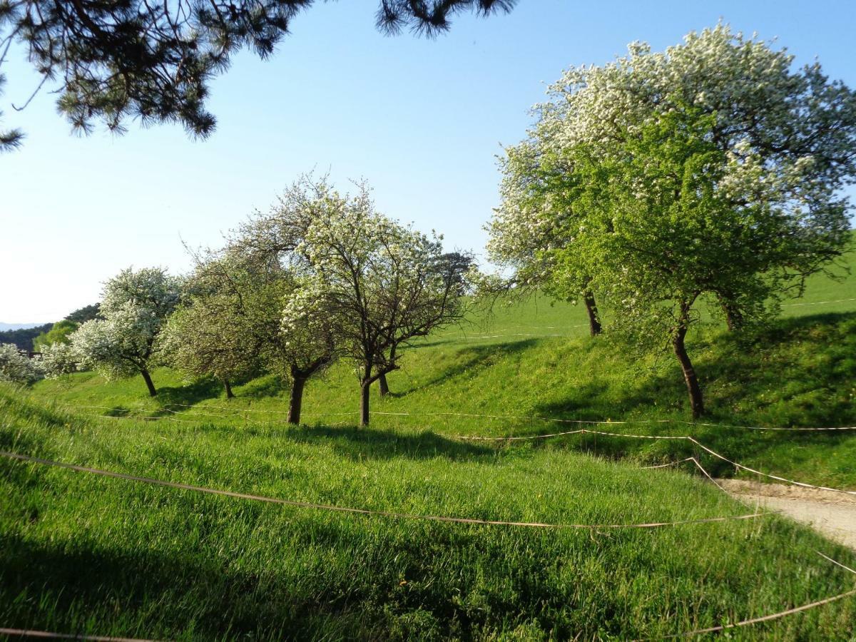 Apartments Himmelreich Ternitz Εξωτερικό φωτογραφία